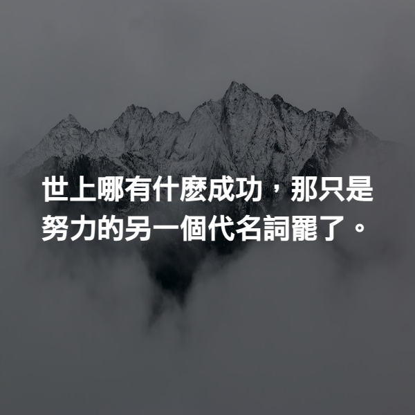 世上哪有什麽成功，那只是努力的另一個代名詞罷了。