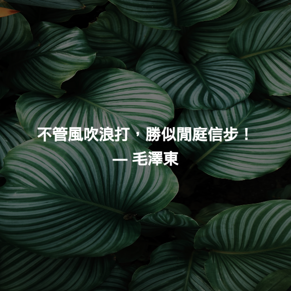 不管風吹浪打，勝似閒庭信步！ ― 毛澤東