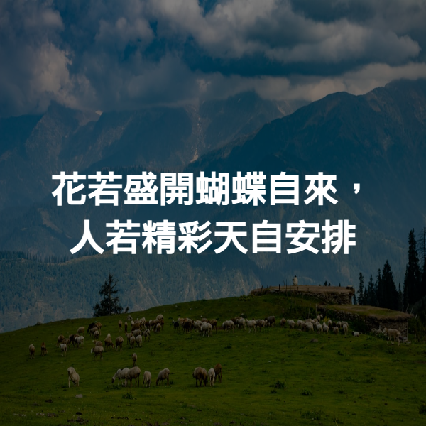 花若盛開蝴蝶自來，人若精彩天自安排