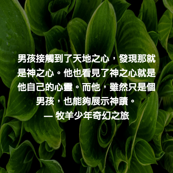 男孩接觸到了天地之心，發現那就是神之心。他也看見了神之心就是他自己的心靈。而他，雖然只是個男孩，也能夠展示神蹟。 ― 牧羊少年奇幻之旅