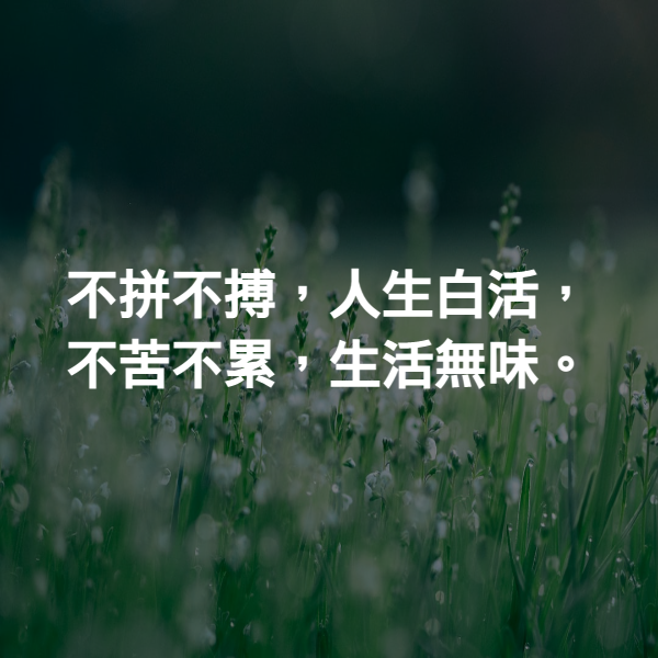 不拼不搏，人生白活，不苦不累，生活無味。