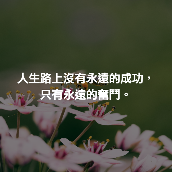 人生路上沒有永遠的成功，只有永遠的奮鬥。