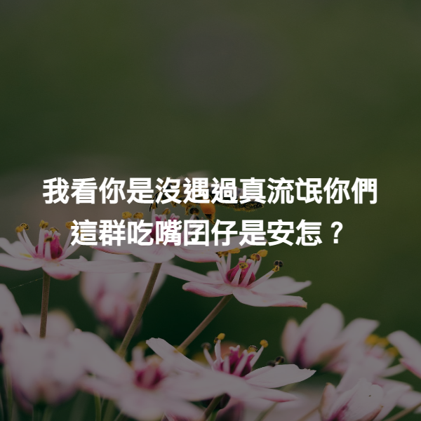 我看你是沒遇過真流氓你們這群吃嘴囝仔是安怎？