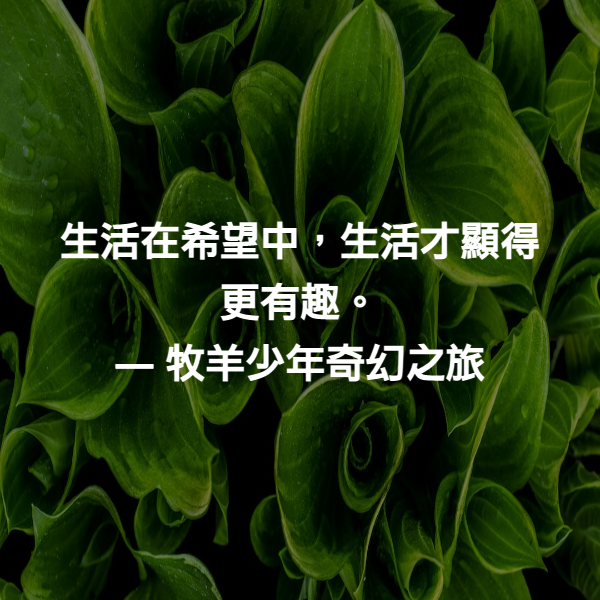 生活在希望中，生活才顯得更有趣。 ― 牧羊少年奇幻之旅