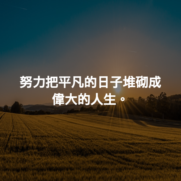 努力把平凡的日子堆砌成偉大的人生。
