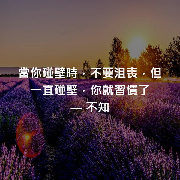 當你碰壁時，不要沮喪，但一直碰壁，你就習慣了 ― 不知