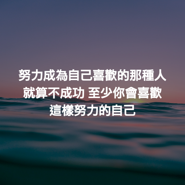 努力成為自己喜歡的那種人 就算不成功 至少你會喜歡 這樣努力的自己