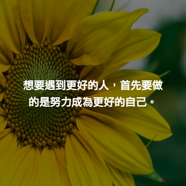 想要遇到更好的人，首先要做的是努力成為更好的自己。