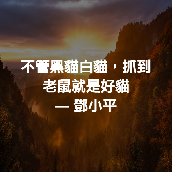 不管黑貓白貓，抓到老鼠就是好貓 ― 鄧小平