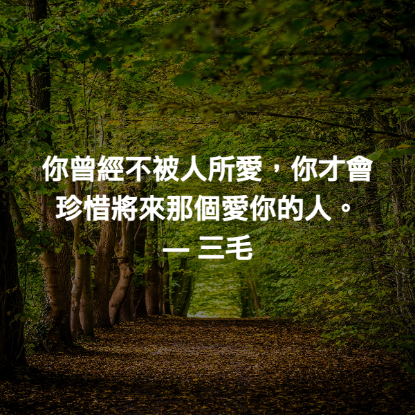 你曾經不被人所愛，你才會珍惜將來那個愛你的人。 ― 三毛