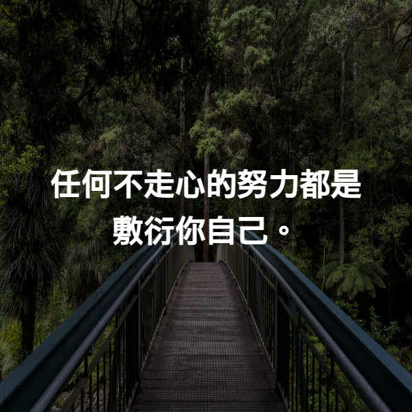 任何不走心的努力都是敷衍你自己。