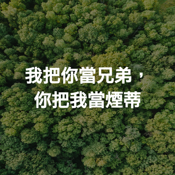 我把你當兄弟，你把我當煙蒂