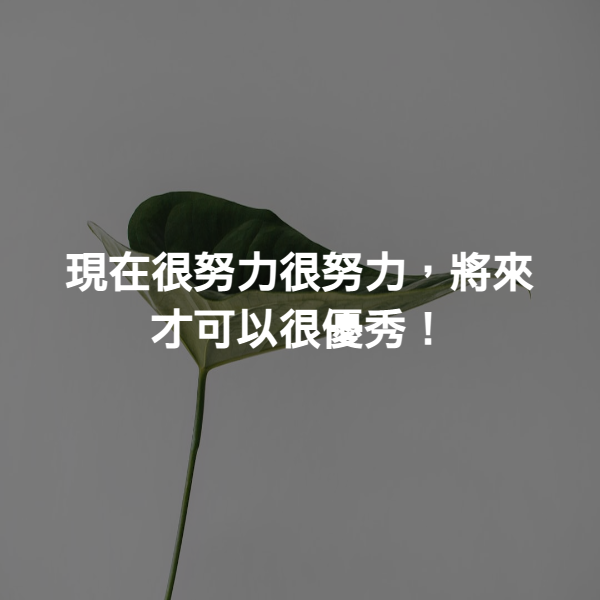現在很努力很努力，將來才可以很優秀！