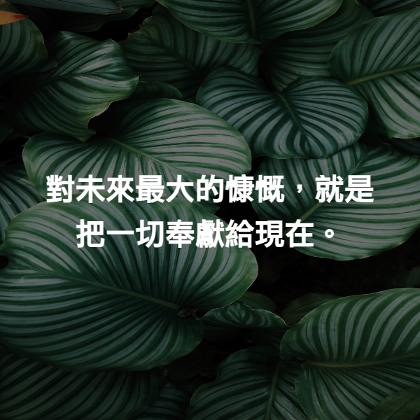 對未來最大的慷慨，就是把一切奉獻給現在。
