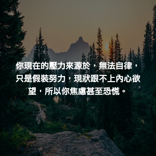 你現在的壓力來源於，無法自律，只是假裝努力，現狀跟不上內心欲望，所以你焦慮甚至恐慌。