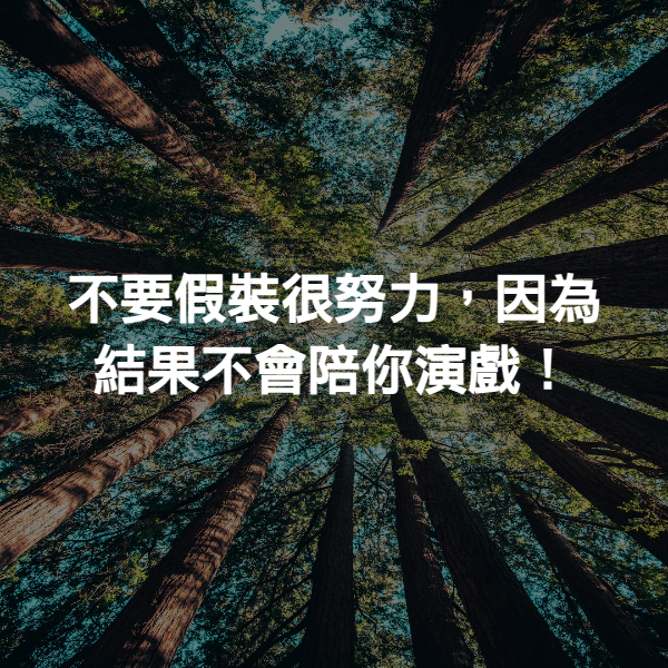 不要假裝很努力，因為結果不會陪你演戲！
