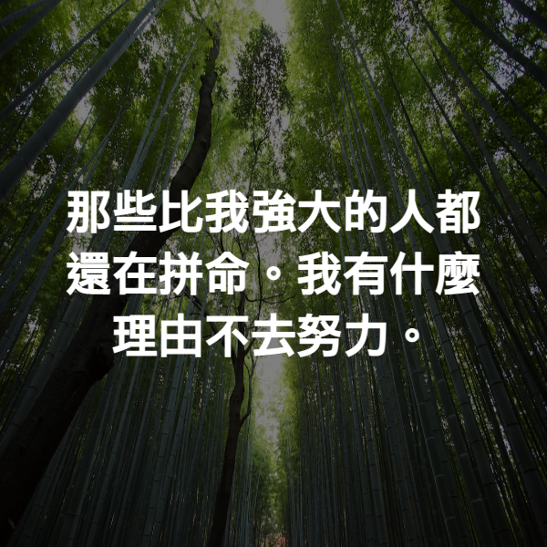 那些比我強大的人都還在拼命。我有什麼理由不去努力。