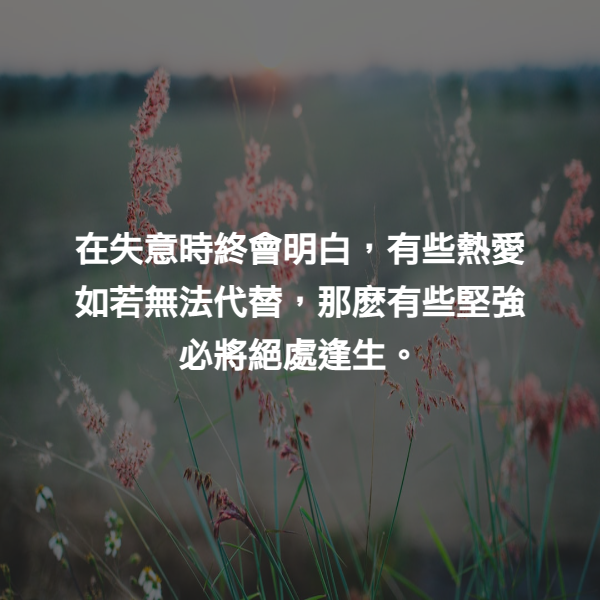 在失意時終會明白，有些熱愛如若無法代替，那麽有些堅強必將絕處逢生。