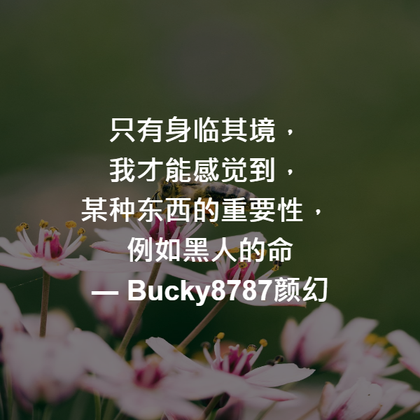 只有身临其境，
我才能感觉到，
某种东西的重要性，
例如黑人的命 ― Bucky8787颜幻
