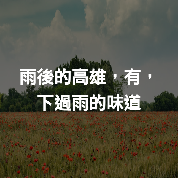 雨後的高雄，有，下過雨的味道