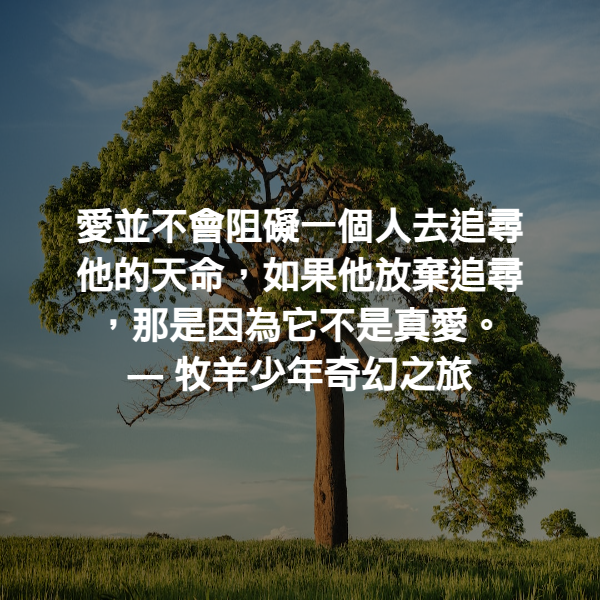 愛並不會阻礙一個人去追尋他的天命，如果他放棄追尋，那是因為它不是真愛。 ― 牧羊少年奇幻之旅