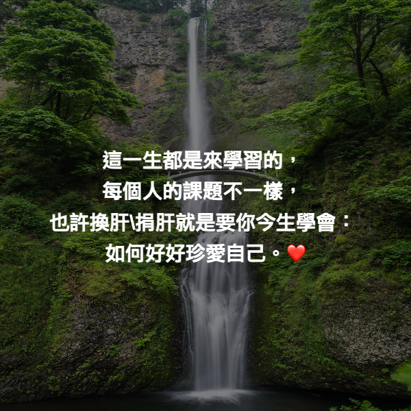 這一生都是來學習的，
每個人的課題不一樣，
也許換肝\捐肝就是要你今生學會：
如何好好珍愛自己。❤️