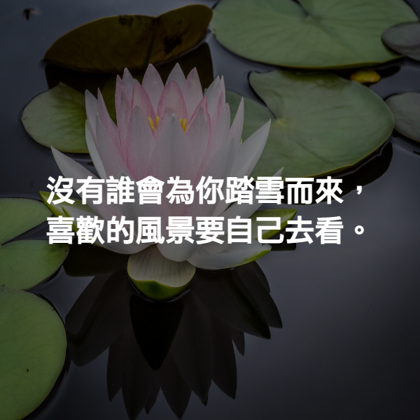 沒有誰會為你踏雪而來，喜歡的風景要自己去看。