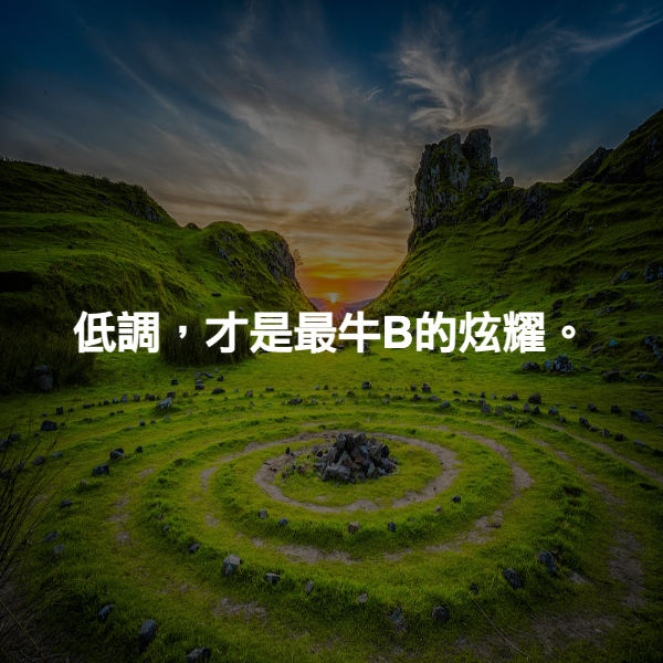 低調，才是最牛B的炫耀。