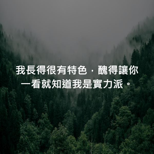 我長得很有特色，醜得讓你一看就知道我是實力派。