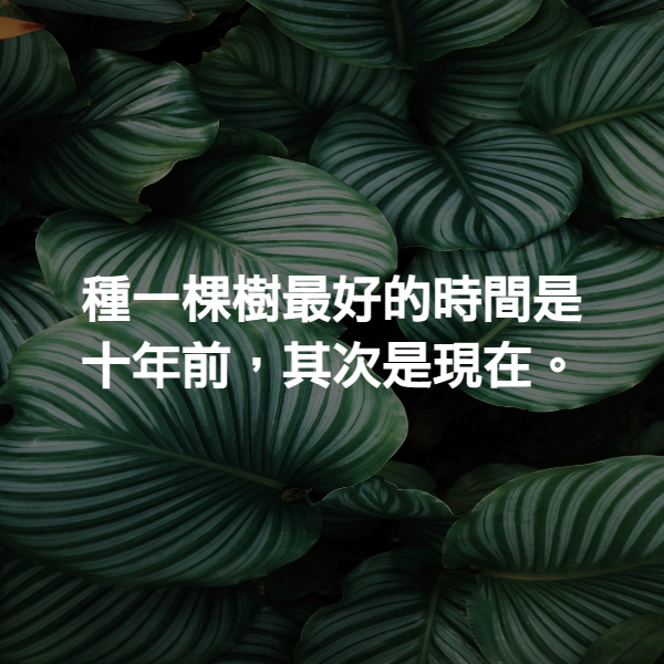 種一棵樹最好的時間是十年前，其次是現在。