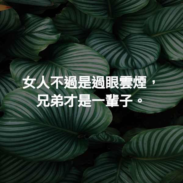 女人不過是過眼雲煙，兄弟才是一輩子。