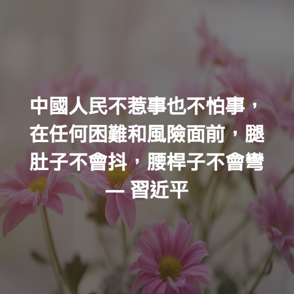 中國人民不惹事也不怕事，在任何困難和風險面前，腿肚子不會抖，腰桿子不會彎 ― 習近平