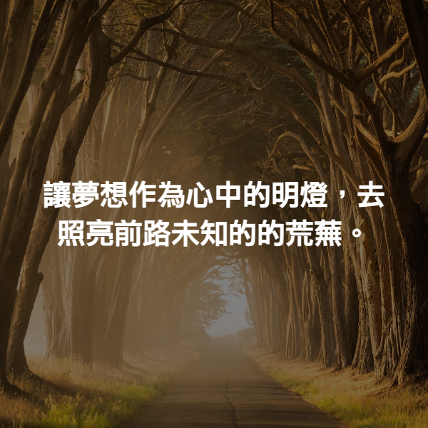 讓夢想作為心中的明燈，去照亮前路未知的的荒蕪。