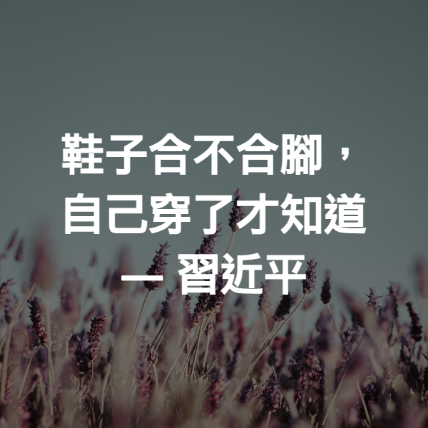鞋子合不合腳，自己穿了才知道 ― 習近平