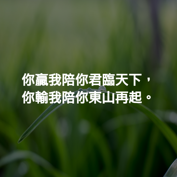 你贏我陪你君臨天下，你輸我陪你東山再起。