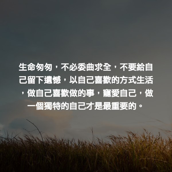 生命匆匆，不必委曲求全，不要給自己留下遺憾，以自己喜歡的方式生活，做自己喜歡做的事，寵愛自己，做一個獨特的自己才是最重要的。