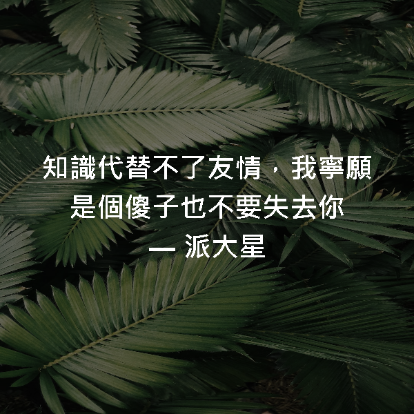 知識代替不了友情，我寧願是個傻子也不要失去你 ― 派大星
