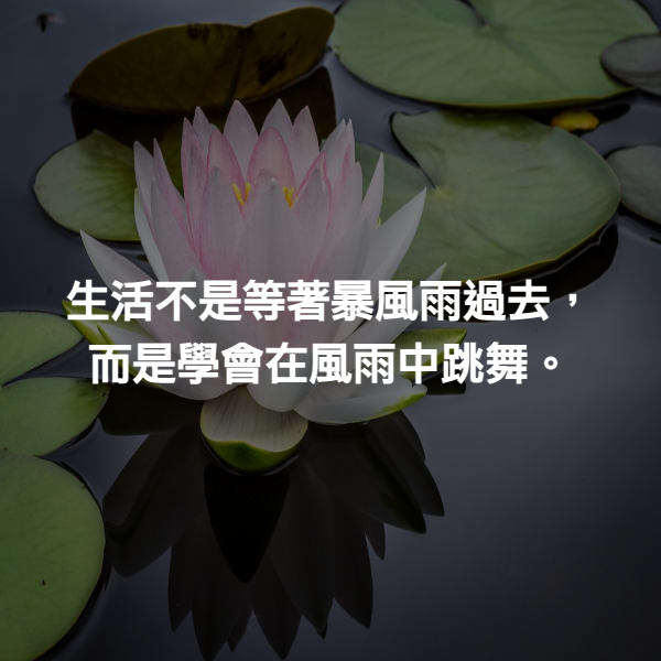 生活不是等著暴風雨過去，而是學會在風雨中跳舞。