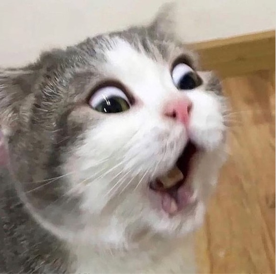 表情猫- 梗图产生器（懒人模式）