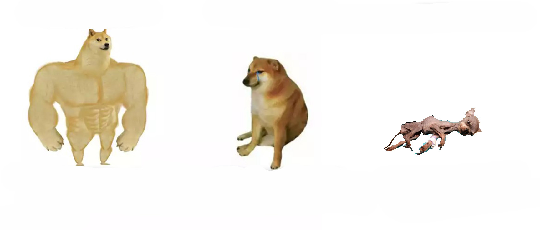 狗狗迷因- 梗圖產生器（懶人模式）