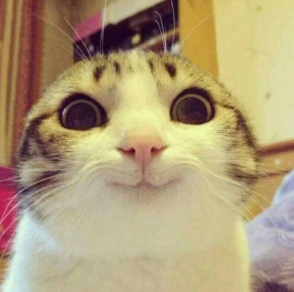 貓貓微笑- 梗圖產生器（懶人模式）