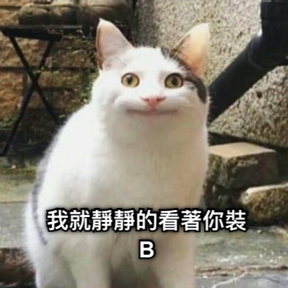 我就靜靜的看著你裝B
