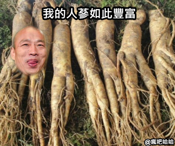 我的人蔘如此豐富 瘋吧哈哈