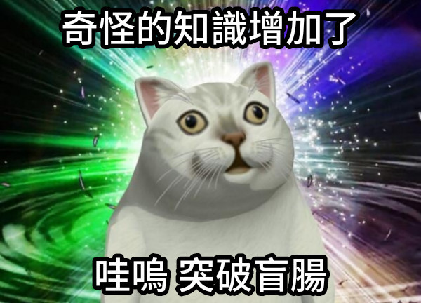 https://memeprod.sgp1.digitaloceanspaces.com/user-wtf/1643111262164.jpg
