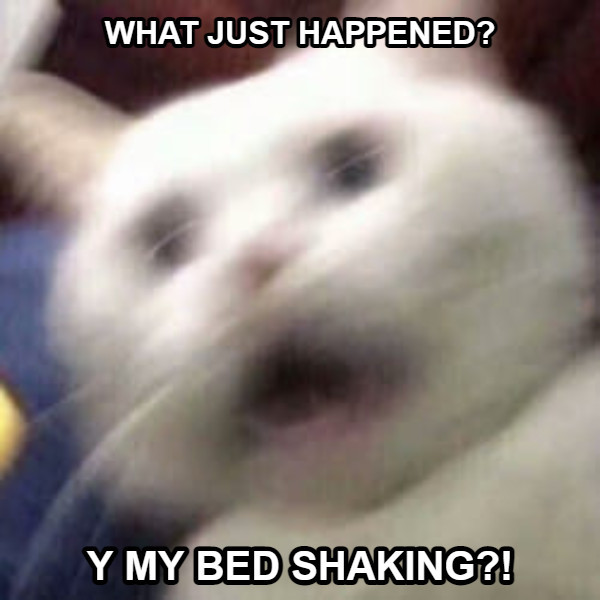 WHAT JUST HAPPENED? Y MY BED SHAKING?!